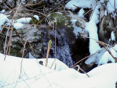 Derin beyaz kar kütleleri arasındaki kayaların üzerinde çağlayan küçük bir şelalenin yakınında.
