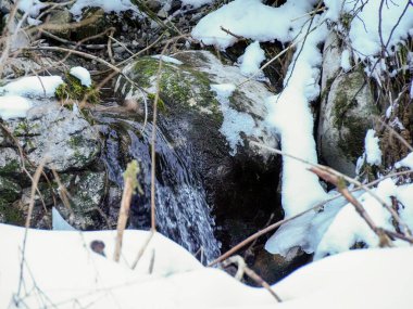 Soğuk dağ suyu karlı bir kış kanyonundaki yosunlu kayaların üzerinden akıyor.