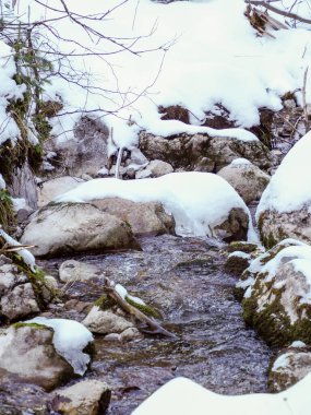 Bir kış ormanında, buzlu taşların etrafında akan akarsuyun yakınında.