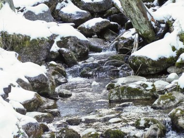 Karlı kıyılar arasında yosunlu kayaların üzerinde çağlayan bir dağ deresinin geniş görüntüsü.