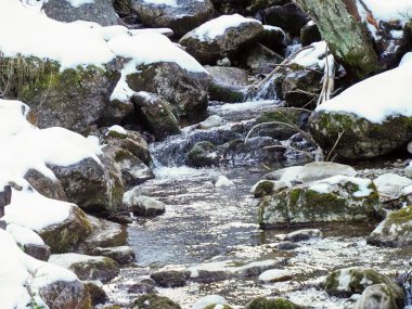 Akan su ve karla kaplı bir orman deresinin manzarası.