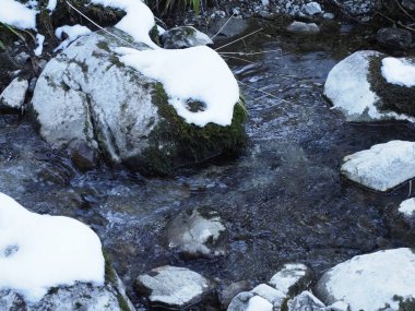 Orman deresindeki büyük bir kayanın yakınında. Kısmen beyaz karla kaplı.