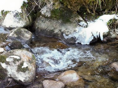 Kışın ormanda yosunlu kayaların üzerinde buzla akan tatlı dere suyunu yakından çek.