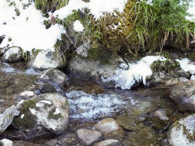 Geniş açı, kristal berrak suyun karlı ormanlık alandaki donmuş nehir taşlarının arasından sıçramasını gösteriyor.
