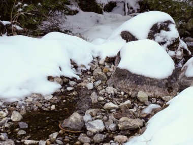 Donmuş dağ deresi karla kaplı kayalar ve karanlık su ile kış ormanında