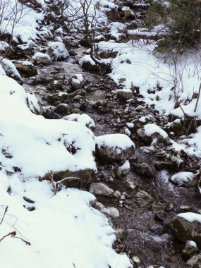 Karla kaplı ormanda akan kayalık dağ akıntısının dikey görüntüsü.