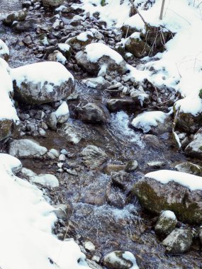 Temiz su, karlı kış derelerinde karanlık taşlar ve çakıl taşlarının üzerinden akar.