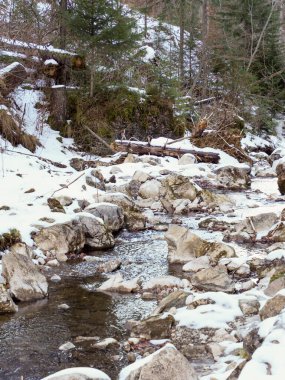 Karlı kozalaklı ağaçlıklarda kayaların üzerinden akan kristal berrak derenin dikey bileşimi
