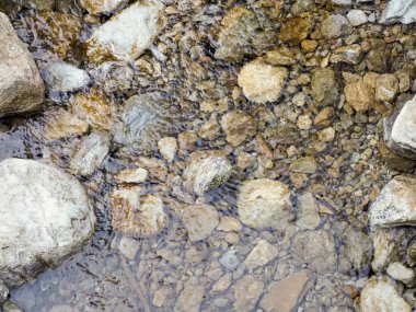 Altın kum ve su altı nehir taşlarıyla sığ nehir suyunun arkaplan dokusu