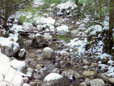 Kışın karla kaplı kayaların arasından akan kristal gibi berrak bir dağ deresinin manzarasını kapat.