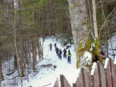 Bir grup insan Zakopane 'de karlı bir orman patikasında dağ bisikleti sürüyor.