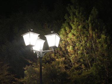 Kış parkında gece vakti koyu çam ağaçlarında parlayan üç klasik sokak lambası.