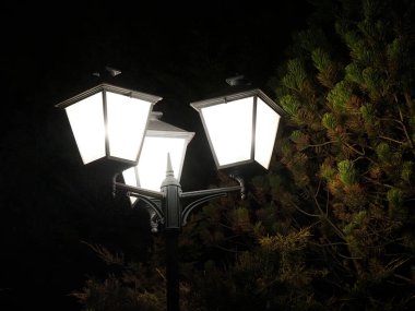 Karanlık orman arka planına karşı parıldayan üçlü fener sokak ışığının simetrik görüntüsü