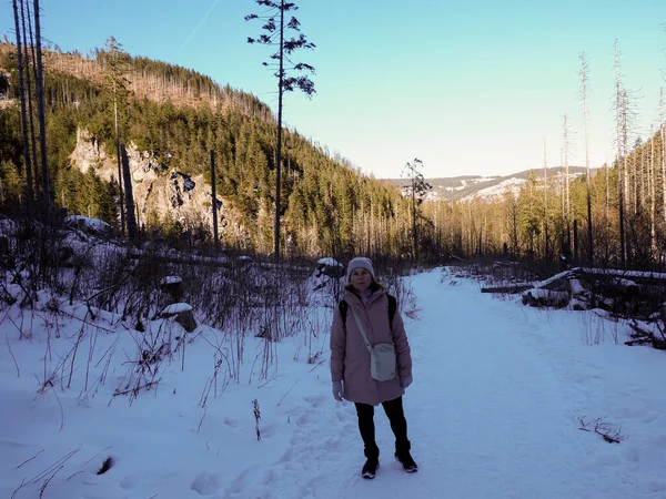 Karlı bir dağ yolunda duran, orman geçmişi olan bir kadın yürüyüşçü.
