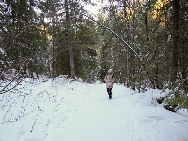 Pembe ceketli bir kadın yürüyüşçü kış ormanlarında karlı bir patikada tek başına yürüyor.