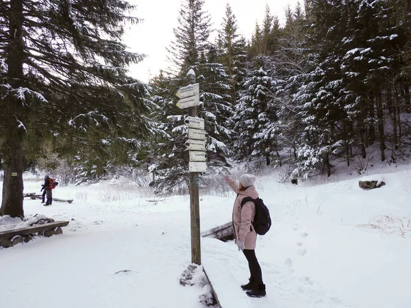 Pembe ceketli genç bir kadın kış yürüyüşü yolunda tabelalara bakıyor.