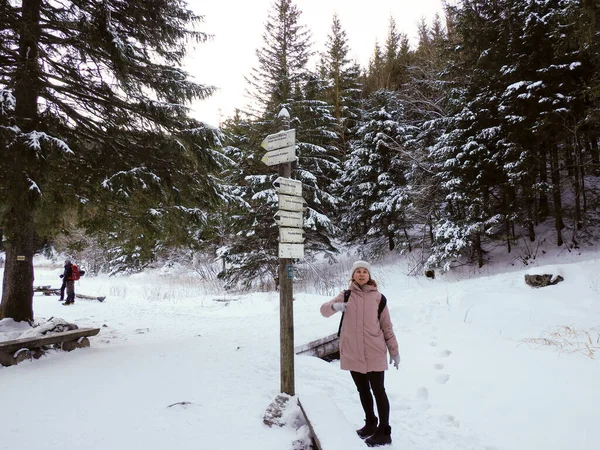 Pembe ceketli kadın yürüyüşçü, karlı dağ yolunda tahta tabelanın yanında duruyor.
