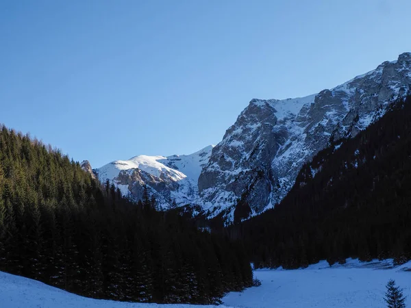 Muazzam dağ tepeleri ve koyu yeşil çam ormanlarıyla çevrili engin karlı vadi..