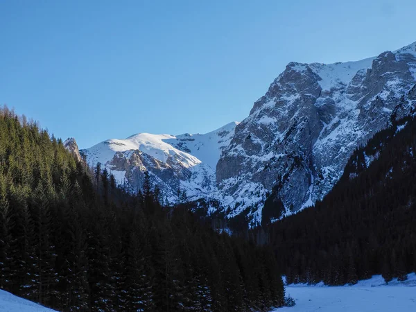 Karlı bir dağ geçidinin geniş manzarası. Bitmeyen yeşil ormanları ve yüksek kayalık tepeleri var..