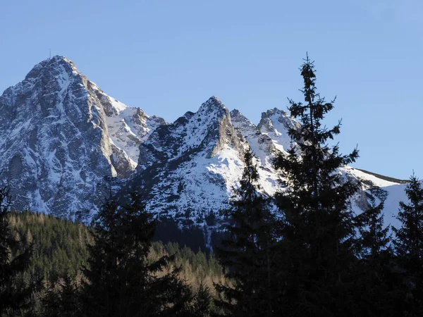 Keskin granit bir dağ sırtına yakın çekim açık mavi gökyüzünün altında kış günışığında.