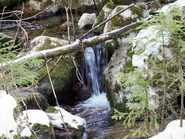 Parlak orman manzaralı bir şelale, devrilmiş bir ağaç gövdesi ve kış karları var.