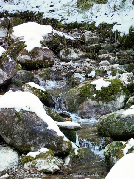 Yosunlu kayalar ve kar ormanları arasında su sıçratan bir dağ deresinin dikey görüntüsü.