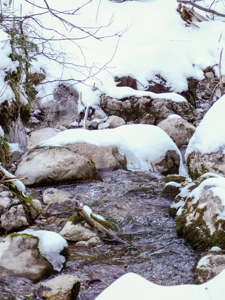 Bir kış ormanında, buzlu taşların etrafında akan akarsuyun yakınında.