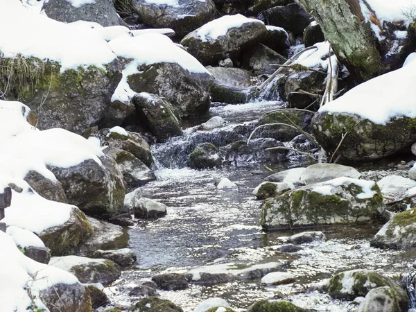 Akan su ve karla kaplı bir orman deresinin manzarası.
