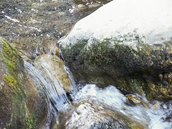Büyük bir karla kaplı taşın etrafında akan bir orman deresinin akan suyu.