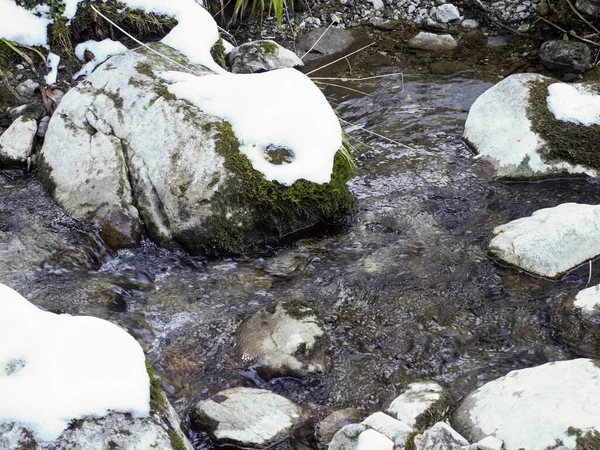 Sakin kış deresi, temiz su ve ormandaki karla kaplı kayalar.