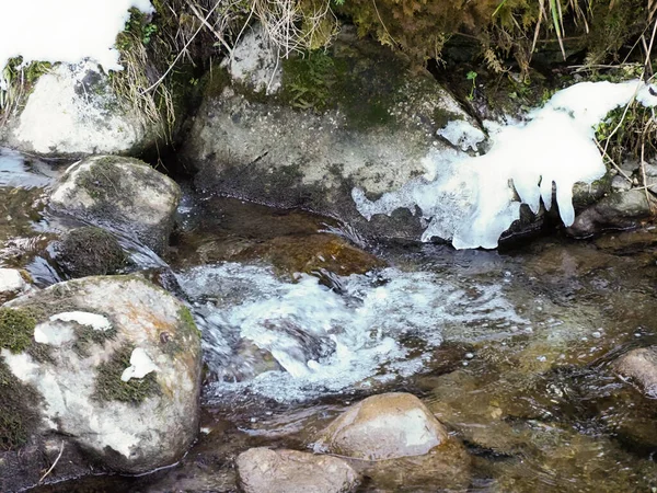 Kışın ormanda yosunlu kayaların üzerinde buzla akan tatlı dere suyunu yakından çek.