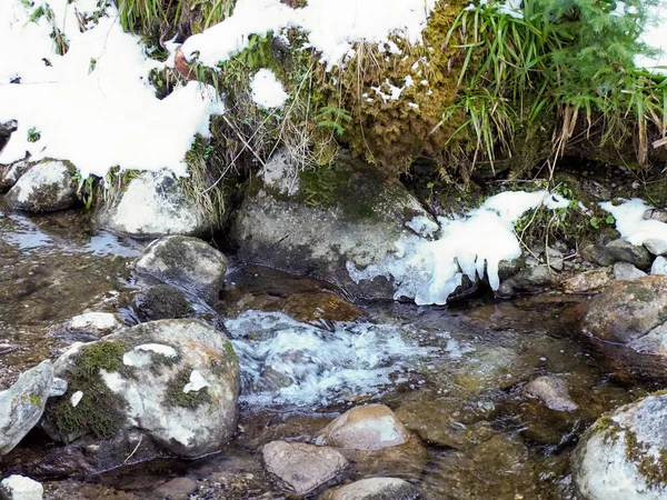 Geniş açı, kristal berrak suyun karlı ormanlık alandaki donmuş nehir taşlarının arasından sıçramasını gösteriyor.