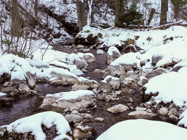 Gündüz vakti etrafı karla kaplı kayalar ve çam ağaçlarıyla çevrili manzaralı orman deresi
