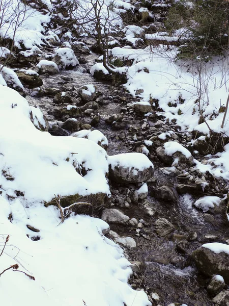 Karla kaplı ormanda akan kayalık dağ akıntısının dikey görüntüsü.