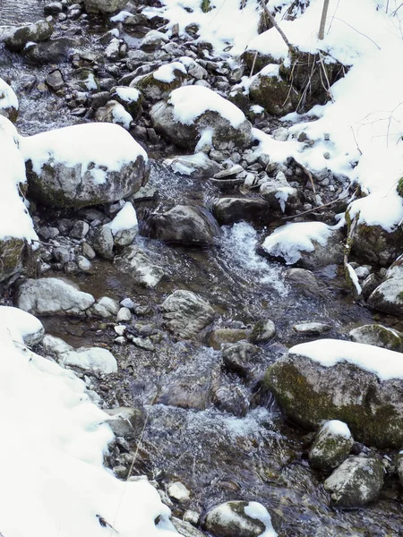 Temiz su, karlı kış derelerinde karanlık taşlar ve çakıl taşlarının üzerinden akar.