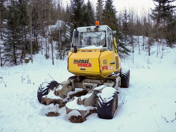 Sarı özel kazıcı Menzi Muck kış ormanlarında derin karlara park etmiş.