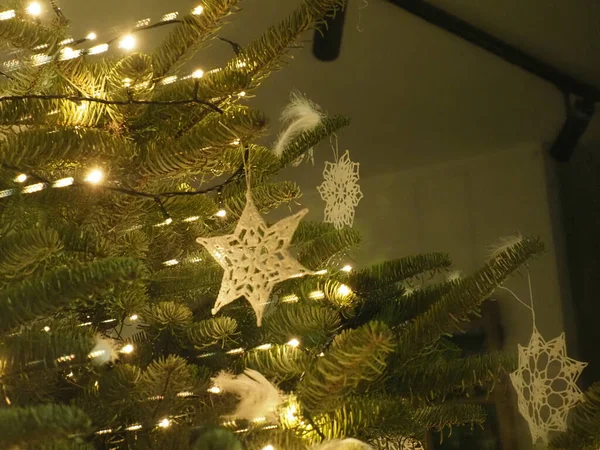 Beyaz yıldız süsleri ve parlayan sıcak ampullerle süslenmiş Noel ağacı dalları