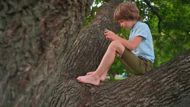 Dreng spiller i telefon sidder på træ gren – Stock-video