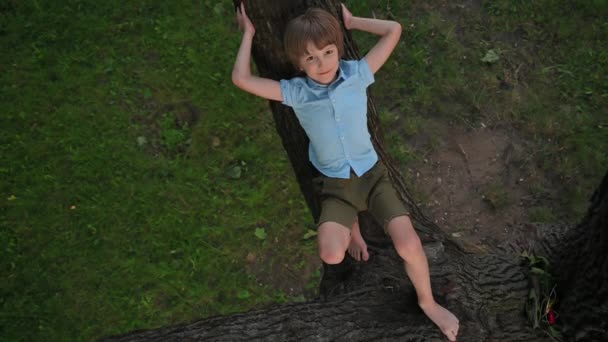 Chłopiec leży na dużej gałęzi drzewa i pokazuje swój język — Wideo stockowe