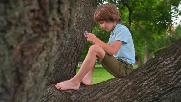 Dreng spiller i telefon sidder på træ gren – Stock-video