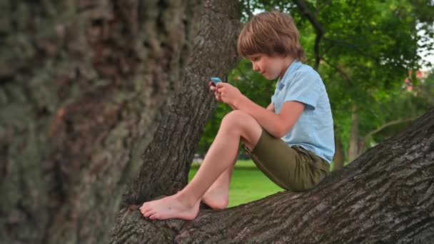 Dreng spiller følelsesmæssigt på telefonen sidder på træ gren – Stock-video