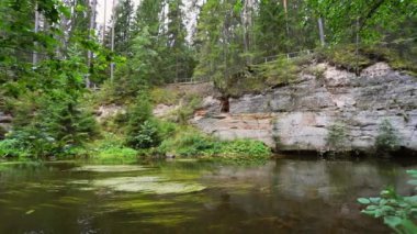 Estonya 'daki Ahja nehrinin kıyısında Devonian kumtaşı çıkıntıları. Ağır çekim. Sabit görüntü