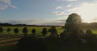 Leylek bir direğin üzerinde ağır çekimde oturur. Hava görüntüleri.