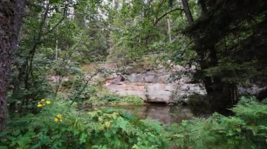 Estonya 'daki Ahja nehrinin kıyısında Devonian kumtaşı çıkıntıları. Ağır çekim. Sabit görüntü