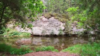 Estonya 'daki Ahja nehrinin kıyısında Devonian kumtaşı çıkıntıları. Ağır çekim. Sabit görüntü