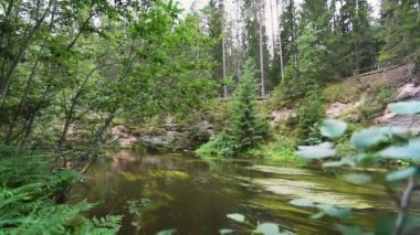 Estonya 'daki Ahja nehrinin kıyısında Devonian kumtaşı çıkıntıları. Ağır çekim. Sabit görüntü