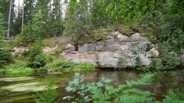 Estonya 'daki Ahja nehrinin kıyısında Devonian kumtaşı çıkıntıları. Ağır çekim. Sabit görüntü