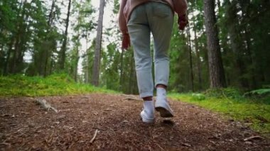 Ormanda yürüyen bir kız. Yaz zamanı. Kesilmiş bölüm, yavaş çekim Steadicam görüntüleri.