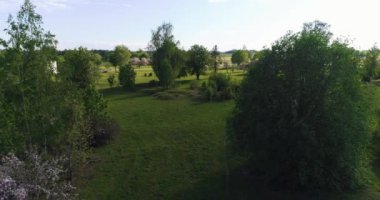 Çiçek açan sakura ağaçlarıyla yeşil bahçenin drone görüntüsü