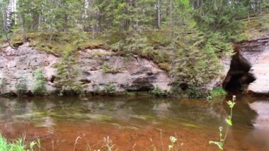 Estonya 'daki Ahja nehrinin kıyısında Devonian kumtaşı çıkıntıları. Ağır çekim. Sabit görüntü